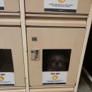 애견마트 이미지