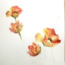 색연필 보태니컬 아트 이미지