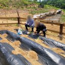 새샘농장 이미지