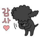 율무네애견 이미지