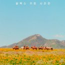 시소지점 이미지