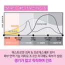 에스테라 이미지