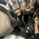 차고치는풍경 | 여름 낭만은 홍콩에서 🇭🇰🇲🇴