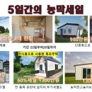 세일로주 이미지