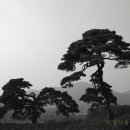 옥산3리 이미지