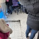 김천 짬뽕 맛집 명희네집 웨이팅 40분 후기