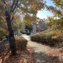 반송 탄요유적공원 탄요지 이미지