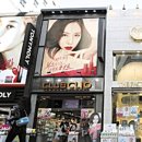 성공로드 뉴스워치