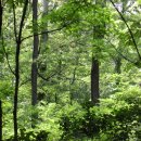 아이아이 이미지