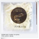 진솔원 이미지