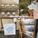 몽그레 | 제주 여행 선물 추천 몽그레 디저트 기념품