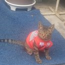 [언제든학교]짧은 소설 긴 수다 시즌9 | 2025/09월 일상