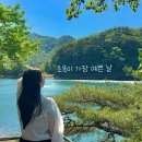 [국내여행] 포천 산정호수 카페 추천 얼리빈스 통창뷰 초여름 감성카페 후기