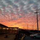 돌고래공인중개사사무소 이미지