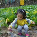 유안농장 이미지