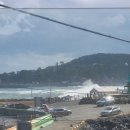 곽암 | 울산 가볼만한 곳 판지항 곽암아트카페 갤러리 방문후기