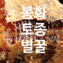 호심공방