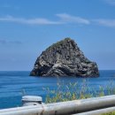 태하모노레일 | 울릉도 추천 코스 관광지 - 태하향목관광모노레일