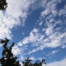 미단행운로 이미지