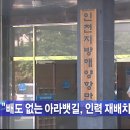 아라인력 이미지