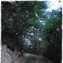 고인돌 오토캠핑장 이미지