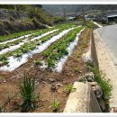 합천호둘레길 이미지