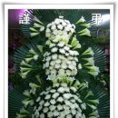 봉암동301 이미지