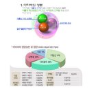 (마감)슈퍼곡물 햄프시드(대마씨),골든아마씨(볶은아마씨) 최저가 공동구매 신청 접수 중 이미지