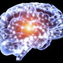 라온힐요양병원 이미지