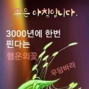 제네레터 이미지