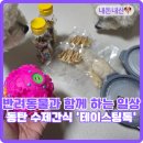 테이스팅독 이미지