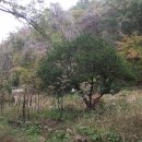 서울대학교 농업생명과학대학 이미지