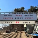 여주-1137 이미지