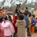 마산초등학교 용전분교 이미지