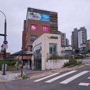 근주상가 | [용인/고진역]✨ 엘라움헤어 고진역점 방문 후기 (내돈내산)✨