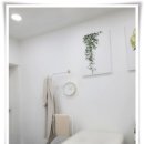 찐브로우