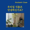 거창창포원 마음 정원 가꾸기(이끼 테라리움 만들기) | 남양주원데이클래스 힐링 가드닝수업으로 식물과 친해져요!
