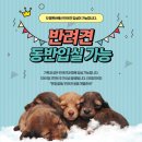 초지 강화도령펜션 | 강화도 단체독채펜션 수영장 있는 대규모 숙소 추천 강화도령펜션(애견 동반 가능)