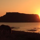 일출로3 이미지