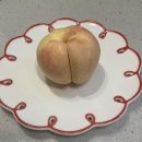 에덴농장 | 찐 달디단 복숭아 추천 에덴농장 향수옥천복숭아 먹어본 후기