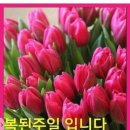 에봇 - 연천군 평화로 557 | 에봇