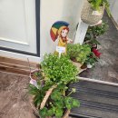 로뎀커피 이미지