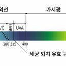 와이즈컨 이미지