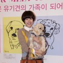 애견이야기 이미지