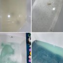 애견미용실 또이쁜댕 네이버블로그