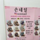 손네일(SONNAIL) 이미지