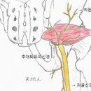 천지인한의원 이미지