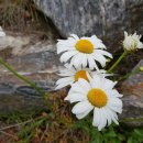 판암양지근린공원 이미지