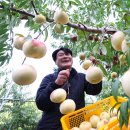 시목농장 이미지