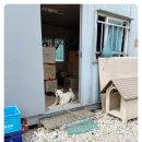 장터카센타 이미지